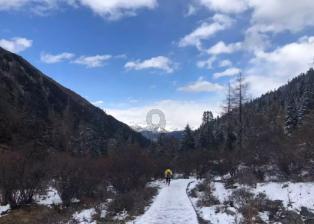 燃烧吧大脑装瓶子游戏